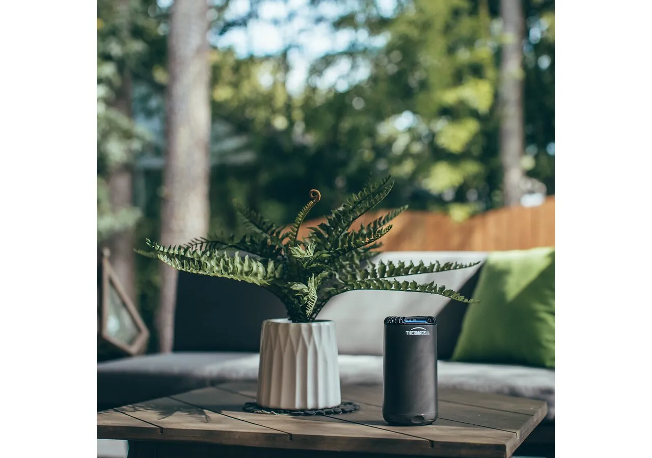 Patio Shield Graphite — pe masă